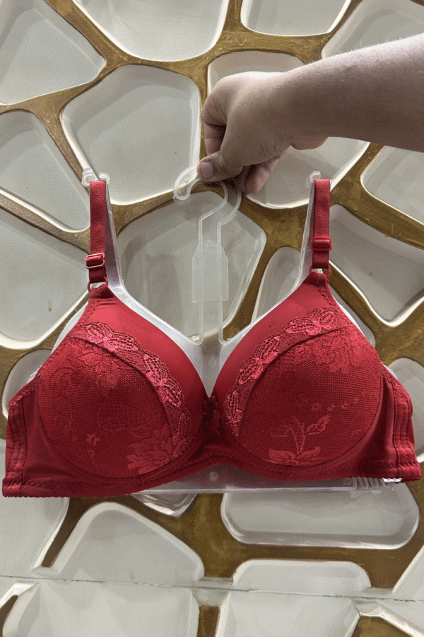 Lace Elegance Padded Push-Up Bra - Image 3